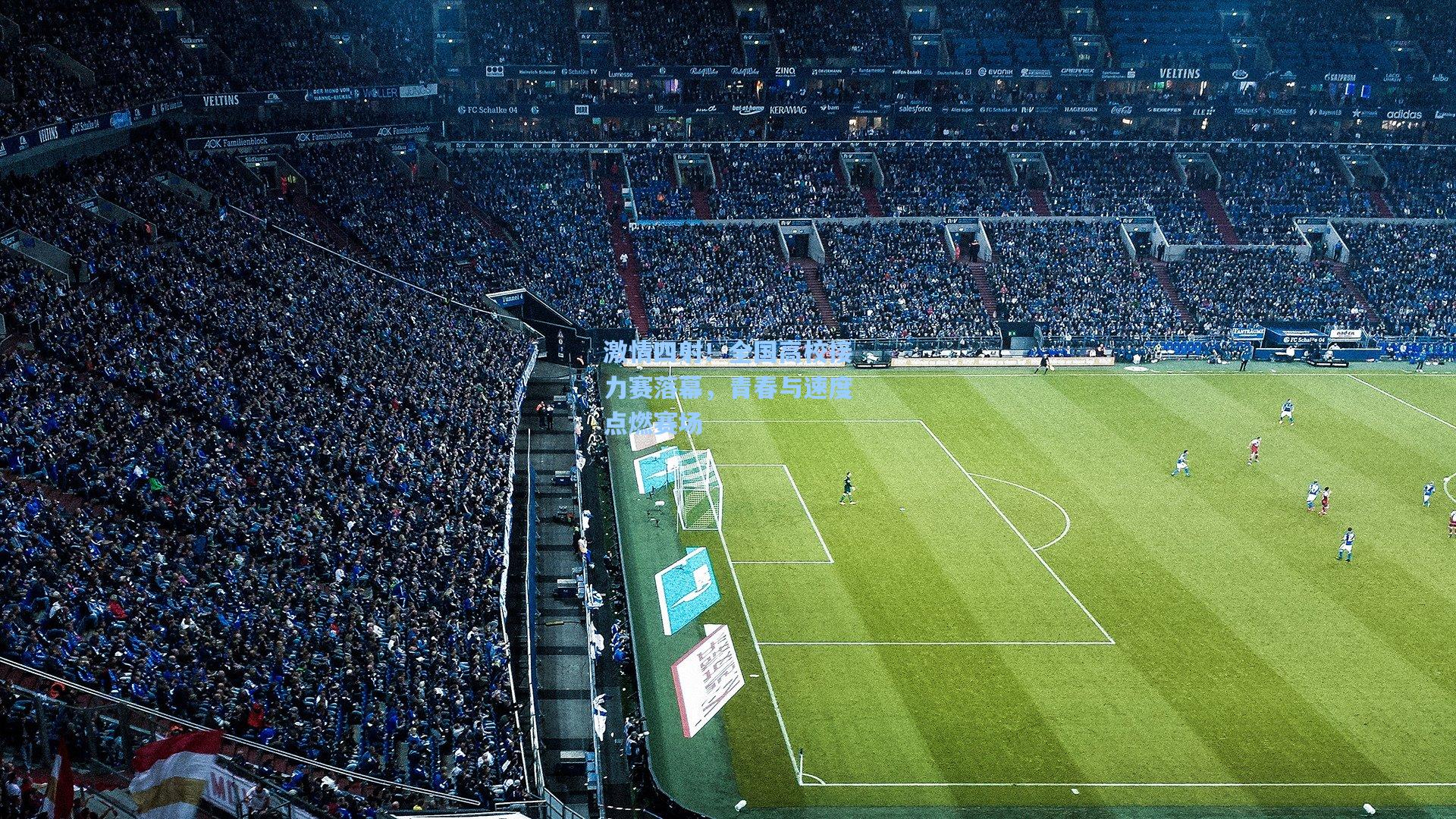 激情四射！全国高校接力赛落幕，青春与速度点燃赛场