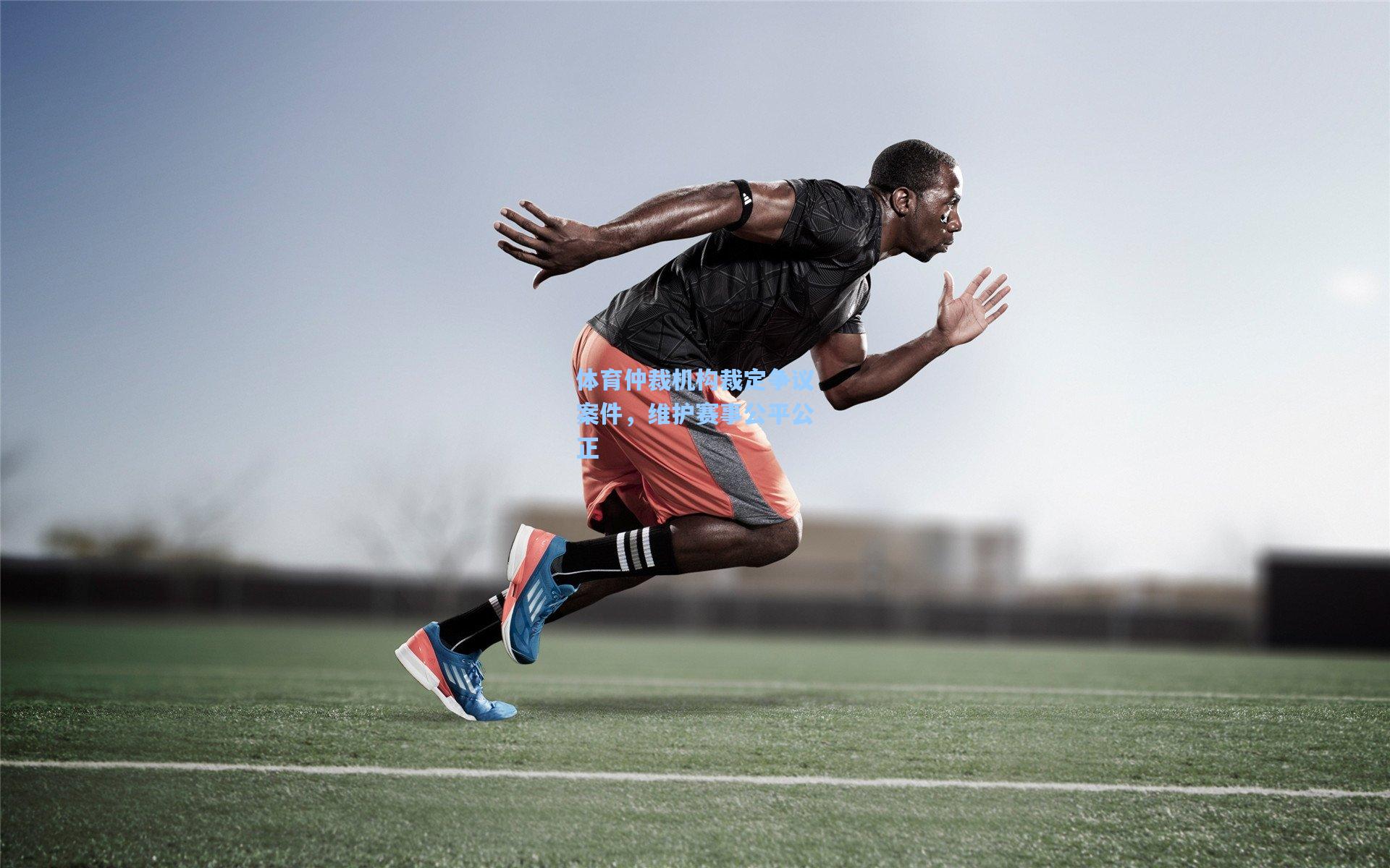 体育仲裁机构裁定争议案件，维护赛事公平公正