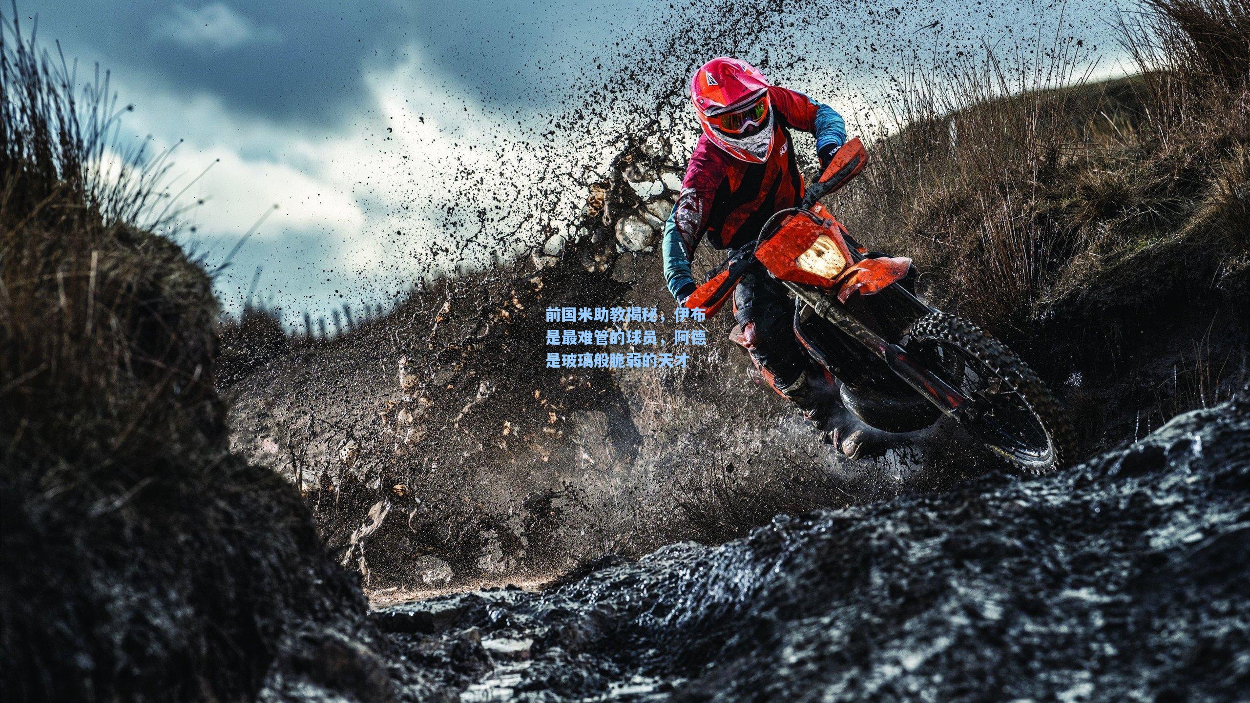 前国米助教揭秘，伊布是最难管的球员，阿德是玻璃般脆弱的天才