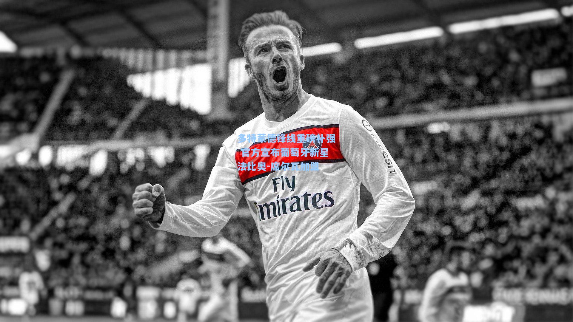 多特蒙德锋线重磅补强 官方宣布葡萄牙新星法比奥-席尔瓦加盟